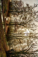 Carica l&#39;immagine nel visualizzatore di Gallery, Sciarpa lana multicolore con bosco e torrente
