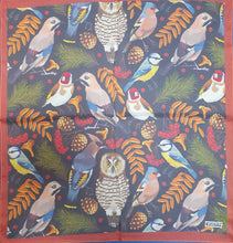 Carica l&#39;immagine nel visualizzatore di Gallery, Foulard seta 70X70 multicolore seta leggera con volatili
